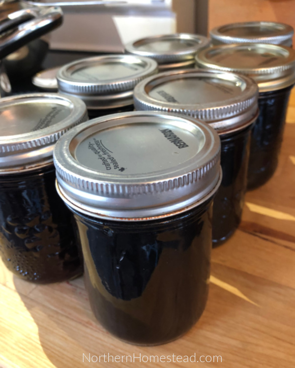 Steam Juicer, a Simple Way to Preserve Fruit and Berries