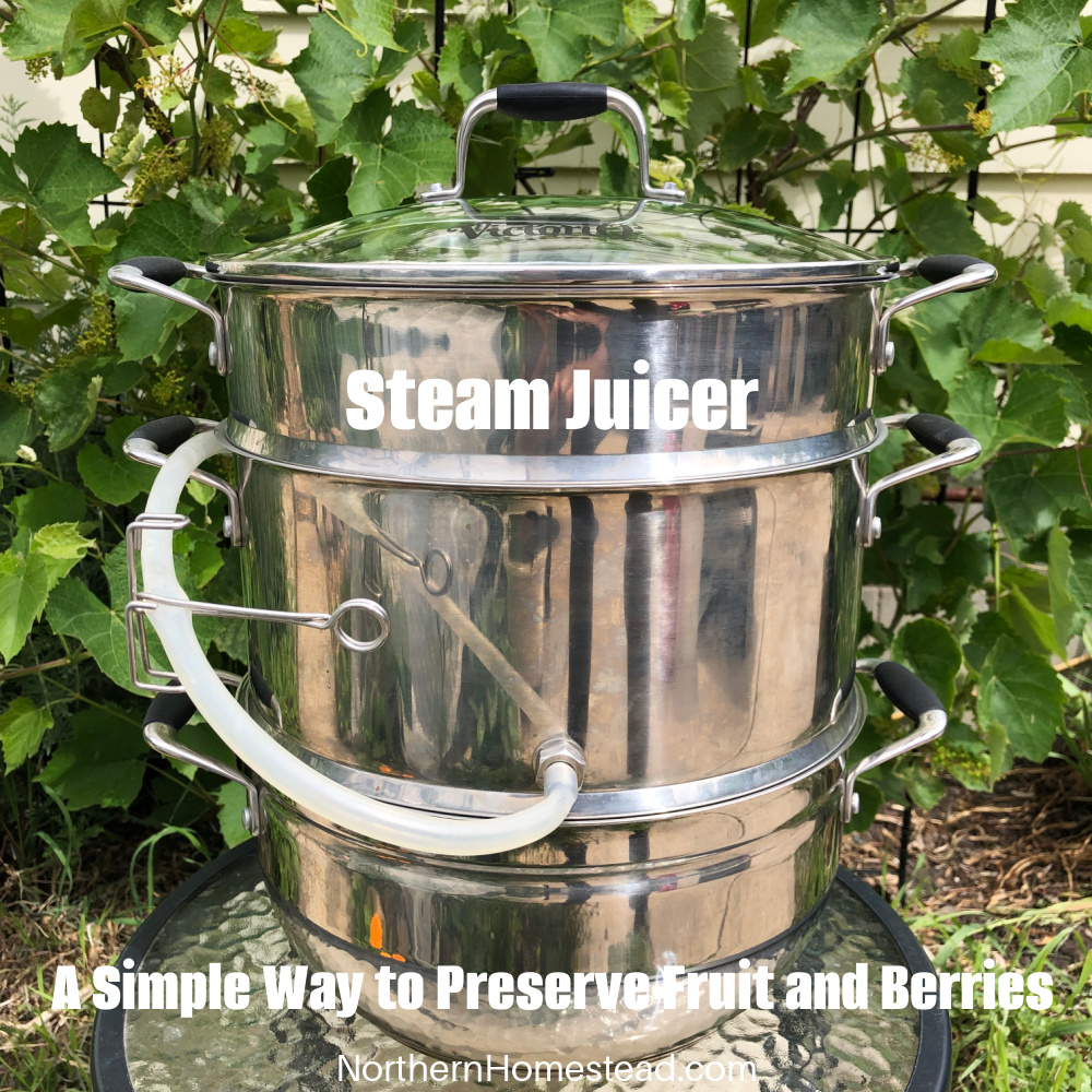 Steam Juicer, a Simple Way to Preserve Fruit and Berries