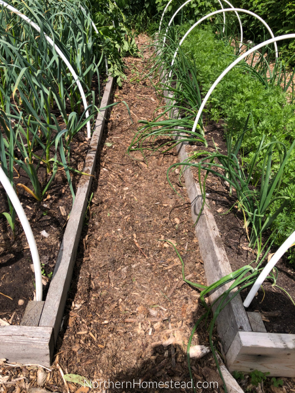 Exploring the Best Garden Bed Design 