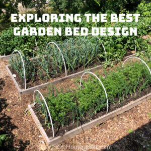 Exploring the Best Garden Bed Design