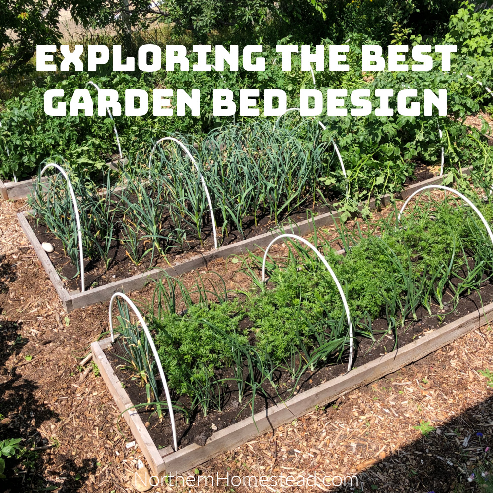 Exploring the Best Garden Bed Design 
