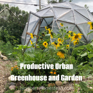 Productive Urban Greenhouse and Garden