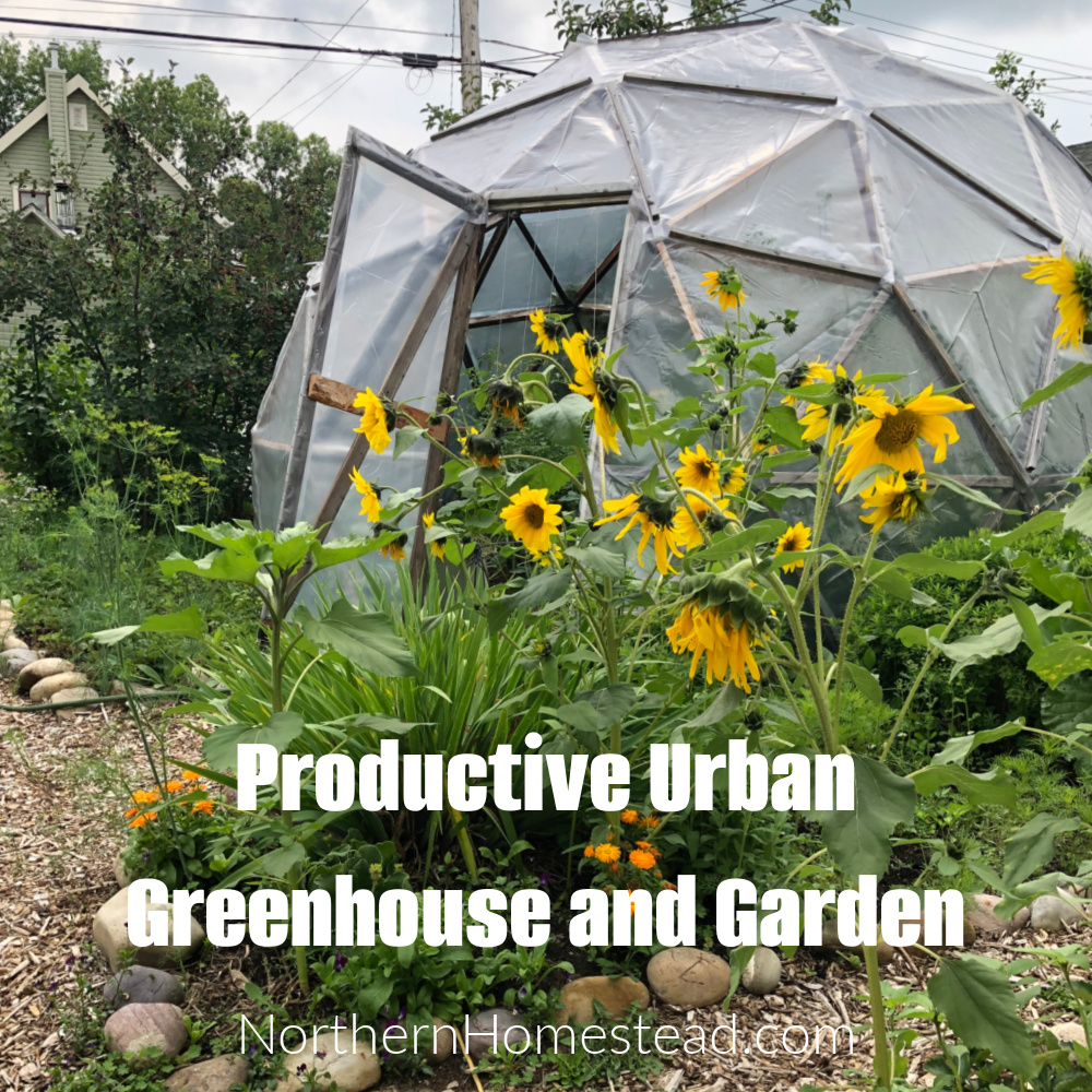 Productive Urban Greenhouse and Garden