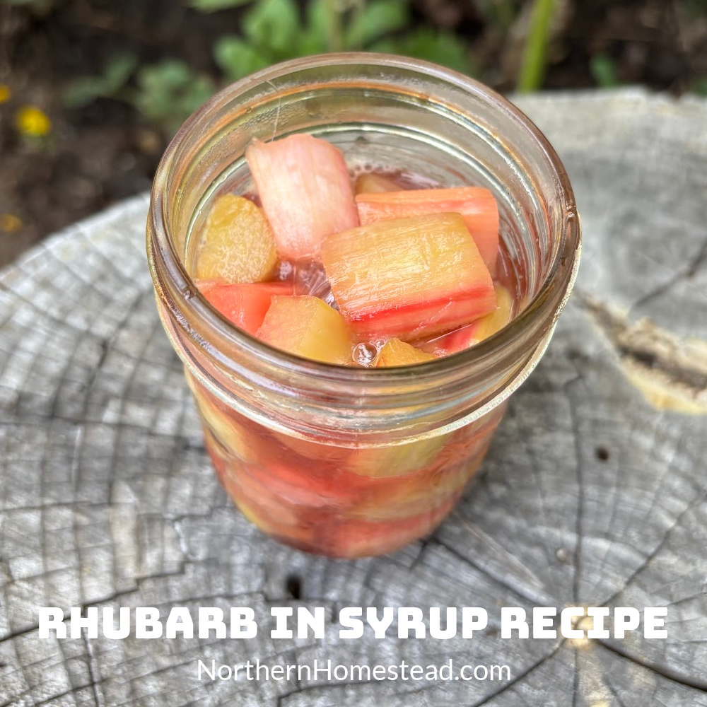 Rhubarb in Syrup Canning Recipe