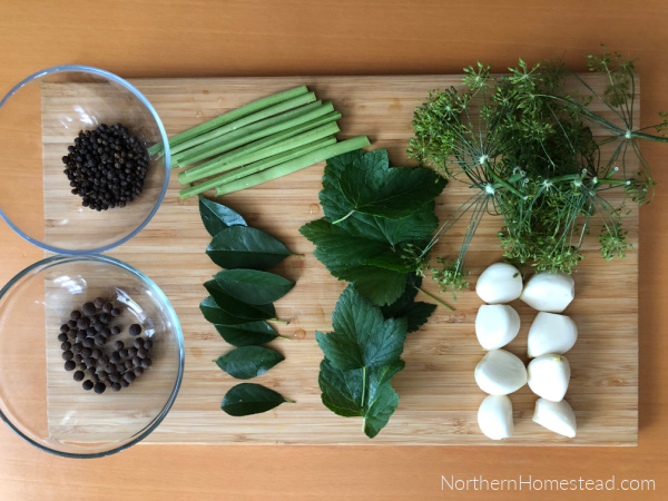 Russian Dill Pickles Recipe