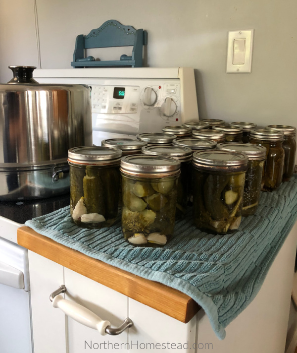 Russian Dill Pickles Recipe