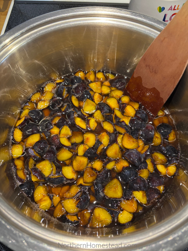 Plum Jam Recipe and other Plum Preserves