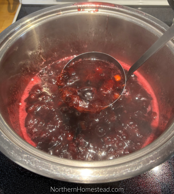 Plum Jam Recipe and other Plum Preserves