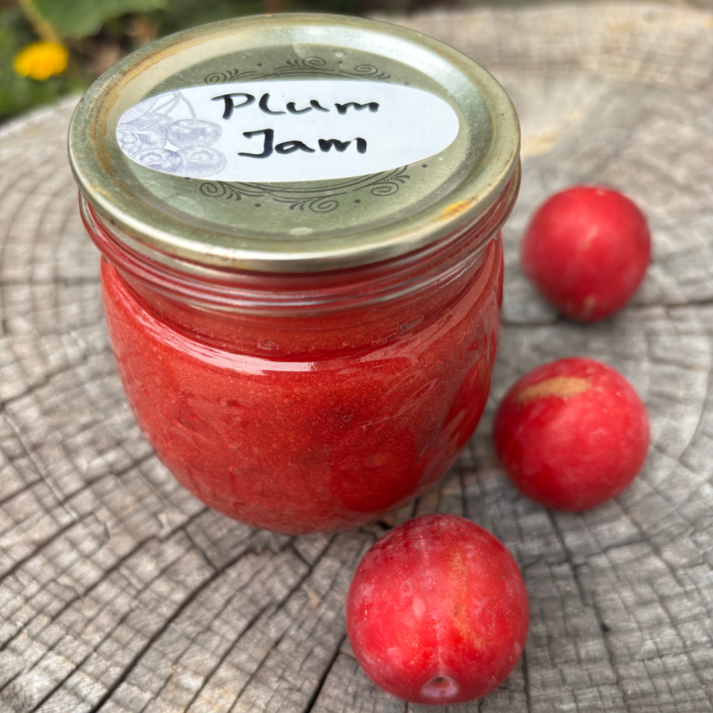 Plum Jam Recipe and other Plum Preserves