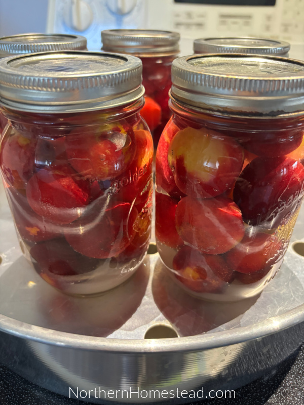 Plum Jam Recipe and other Plum Preserves
