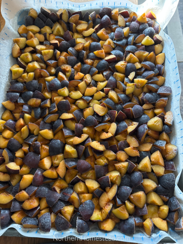 Plum Jam Recipe and other Plum Preserves