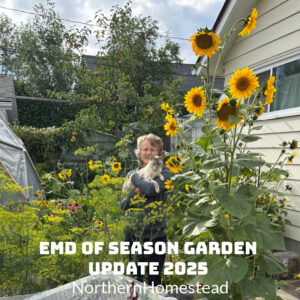 End of season Garden update for 2025