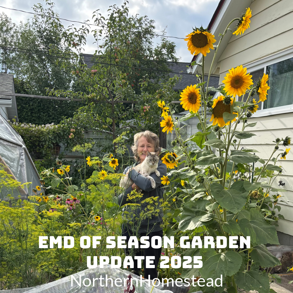 End of season Garden update for 2025