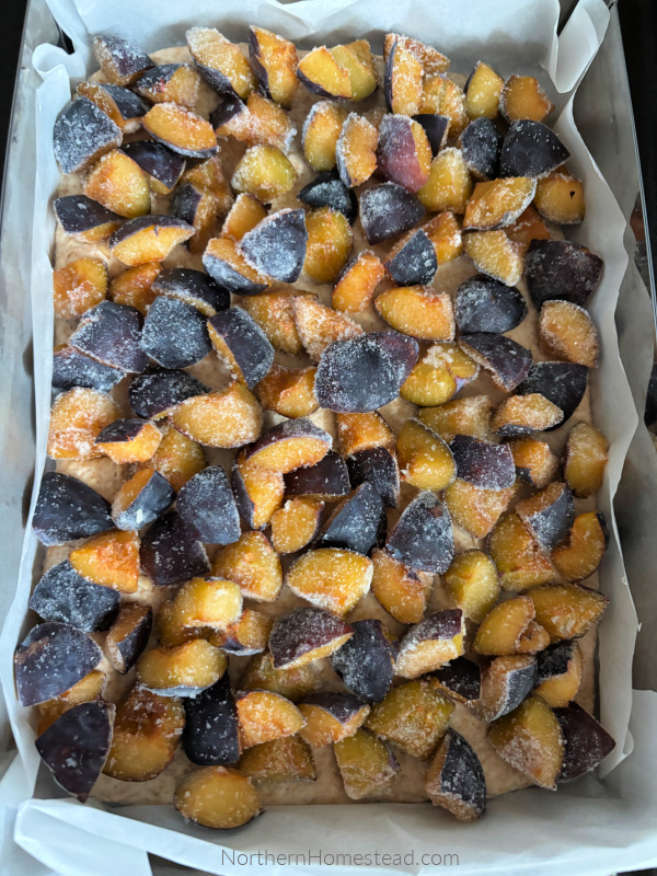 Plum Platz Recipe