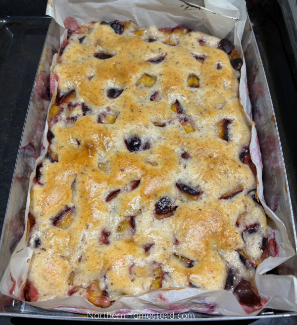 Plum Platz Recipe