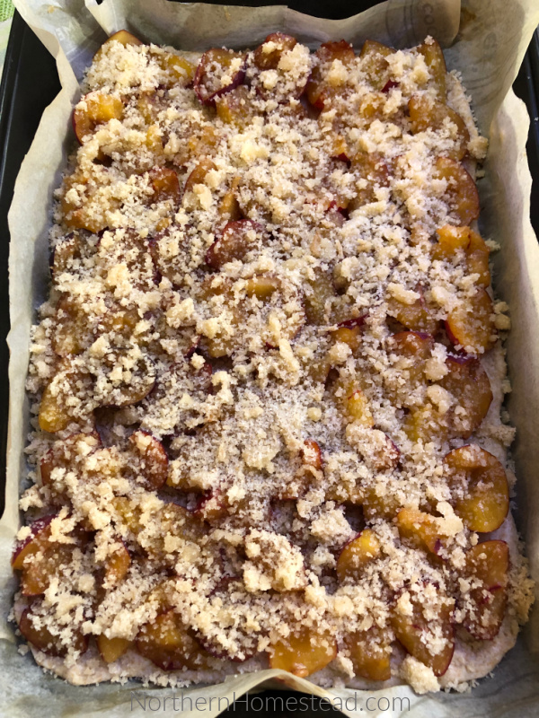 Plum Platz Recipe