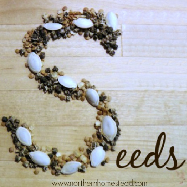 Buying annual vegetable seeds for the new growing season