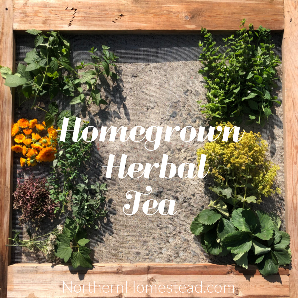 Homegrown Herbal Tea