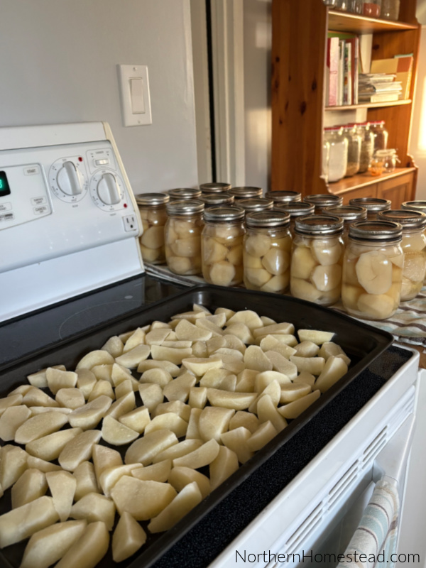 How to Freeze Potatoes