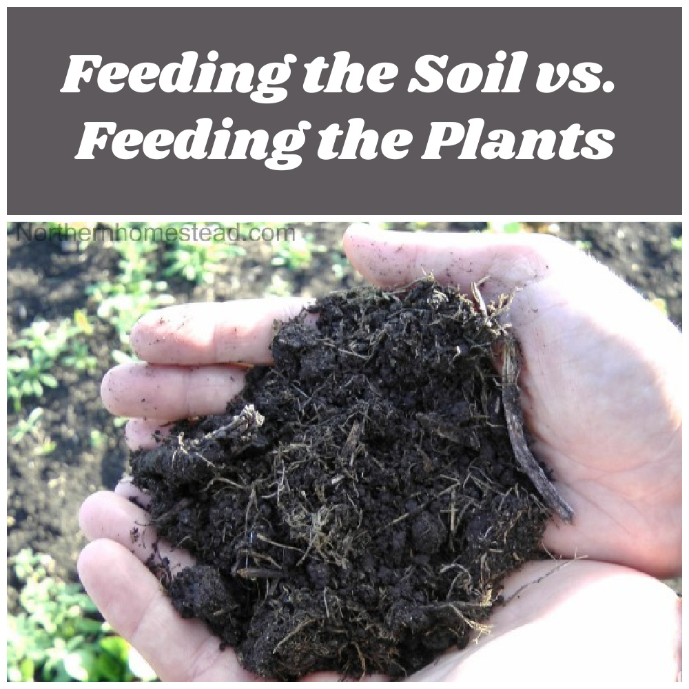 Feeding the Soil vs. Feeding the Plants