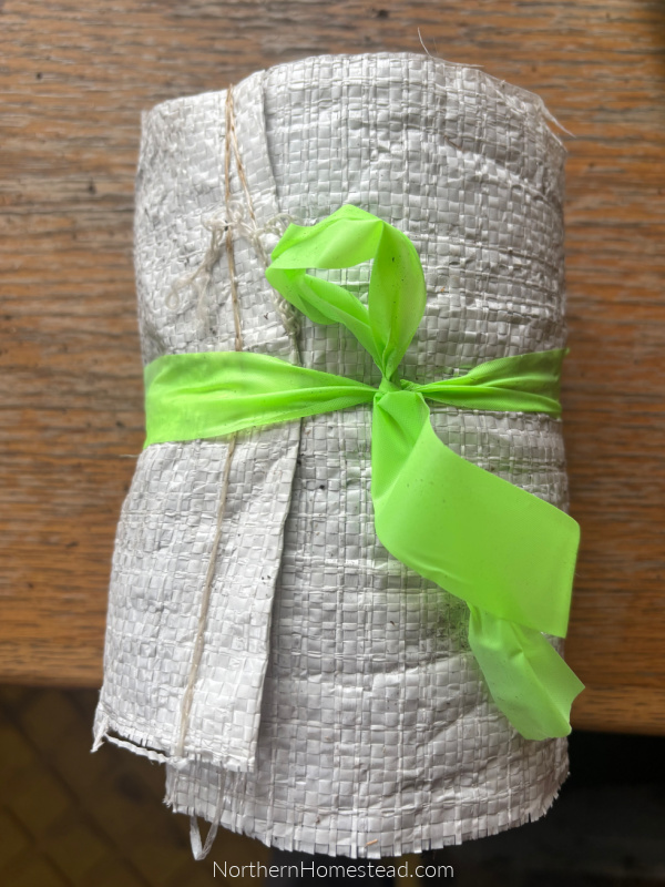 Seed Snails for Seed Starting