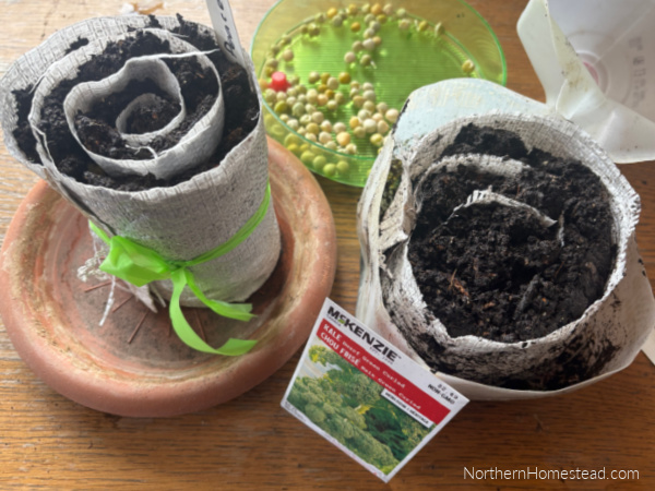 Seed Snails for Seed Starting