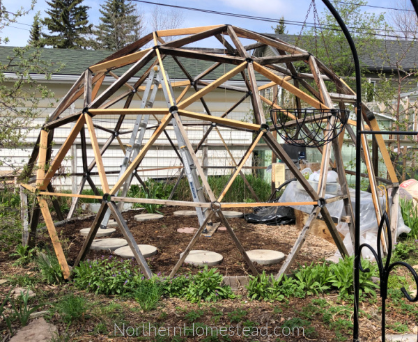Building a Free Geodesic Dome Greenhouse