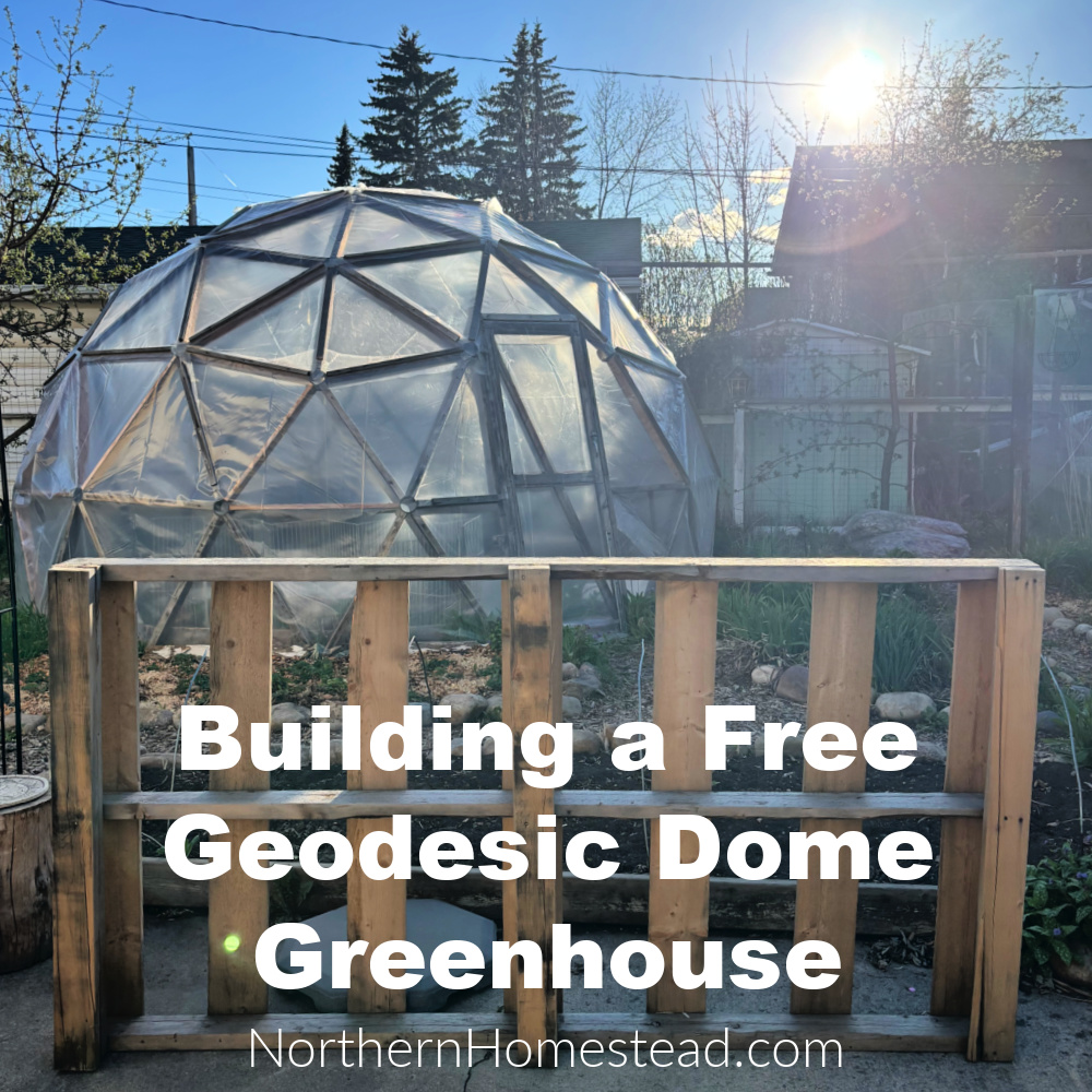 Building a Free Geodesic Dome Greenhouse