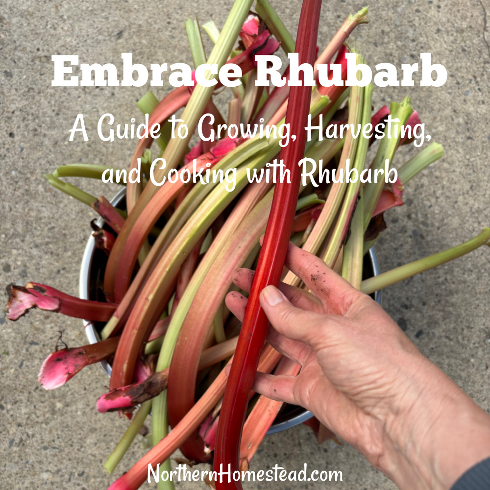 A Guide to Growing, Harvesting, and Cooking with Rhubarb