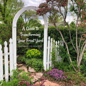 Low-Maintenance Landscaping: A Guide to Transforming Your Front Yard