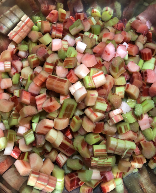 Freezing rhubarb
