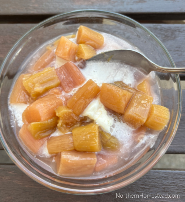 A Guide to Growing, Harvesting, and Cooking with Rhubarb