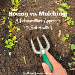 Hoeing vs. Mulching: A Permaculture Approach to Soil Health