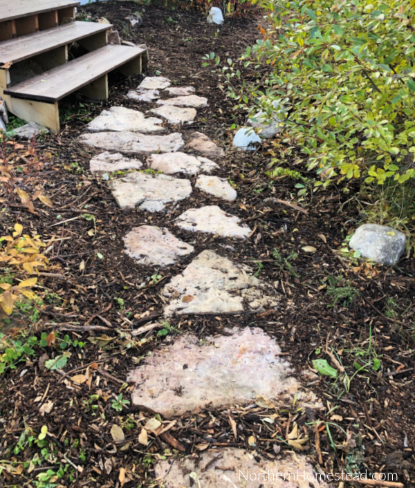 Low-Maintenance Landscaping: A Guide to Transforming Your Front Yard
