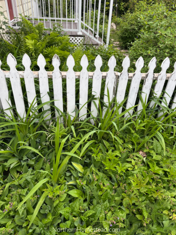 Low-Maintenance Landscaping: A Guide to Transforming Your Front Yard