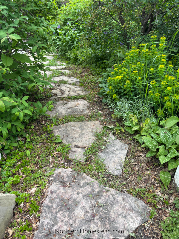 Low-Maintenance Landscaping: A Guide to Transforming Your Front Yard