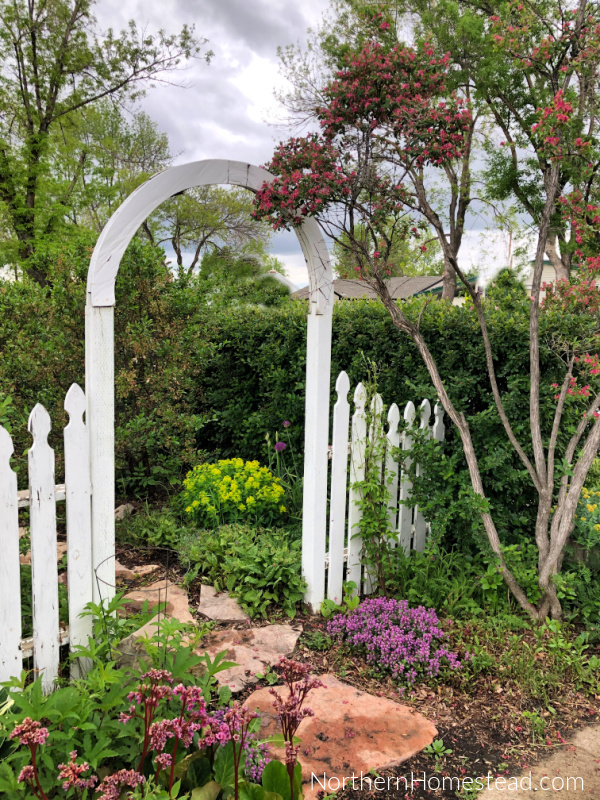 Low-Maintenance Landscaping: A Guide to Transforming Your Front Yard