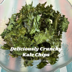 Deliciously Crunchy Kale Chips: Transforming Surplus into a Snack!