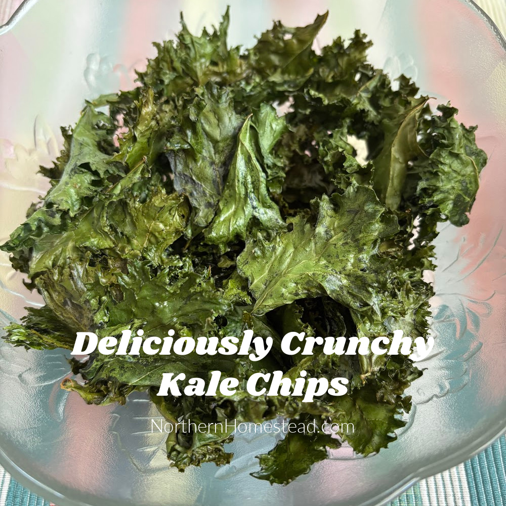 Deliciously Crunchy Kale Chips: Transforming Surplus into a Snack!