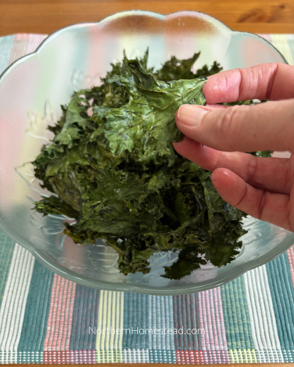 Deliciously Crunchy Kale Chips: Transforming Surplus into a Snack!