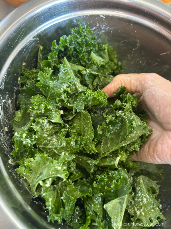 Deliciously Crunchy Kale Chips