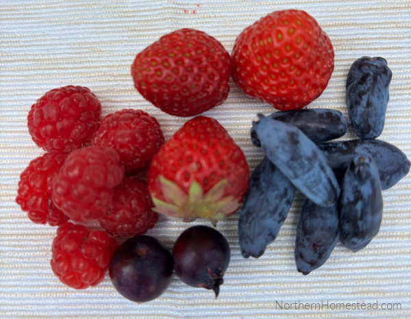 Mixed Berry Jam