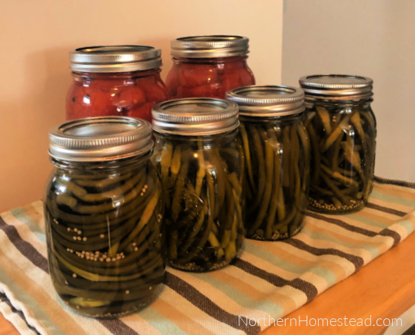 Pickled Garlic Scapes