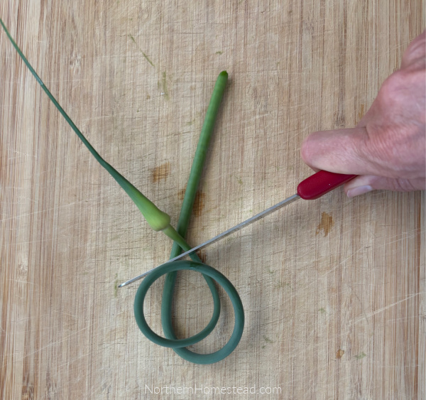 Pickled Garlic Scapes