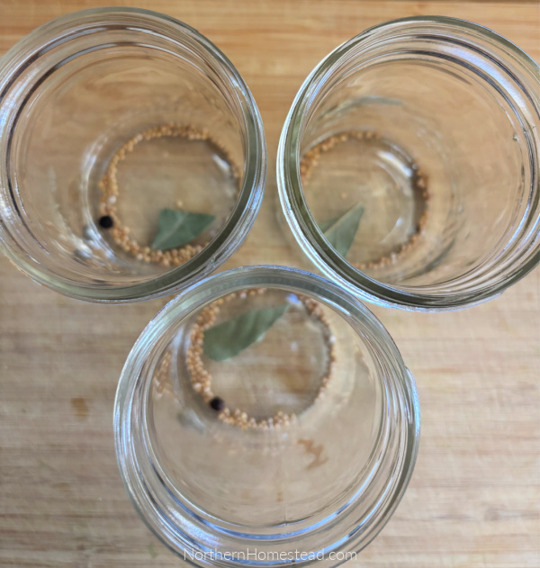 Pickled Garlic Scapes