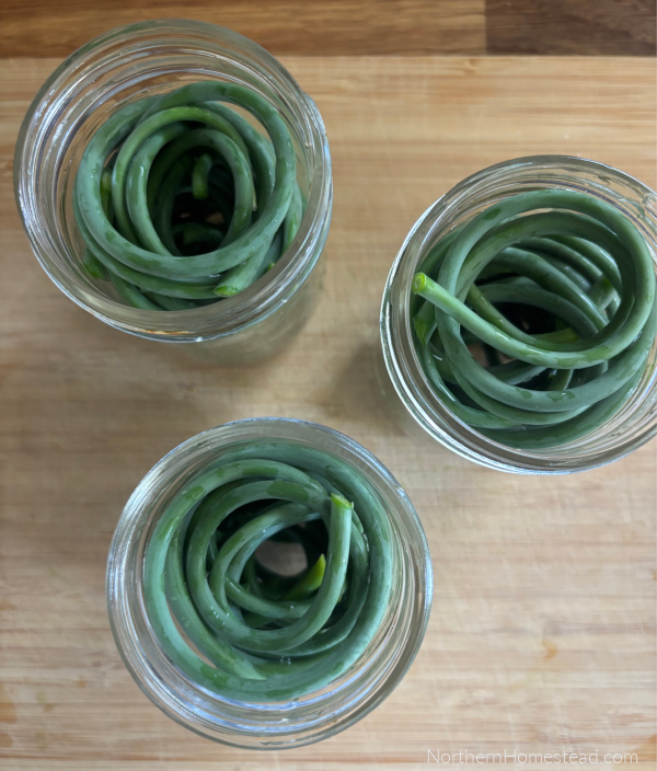 Pickled Garlic Scapes