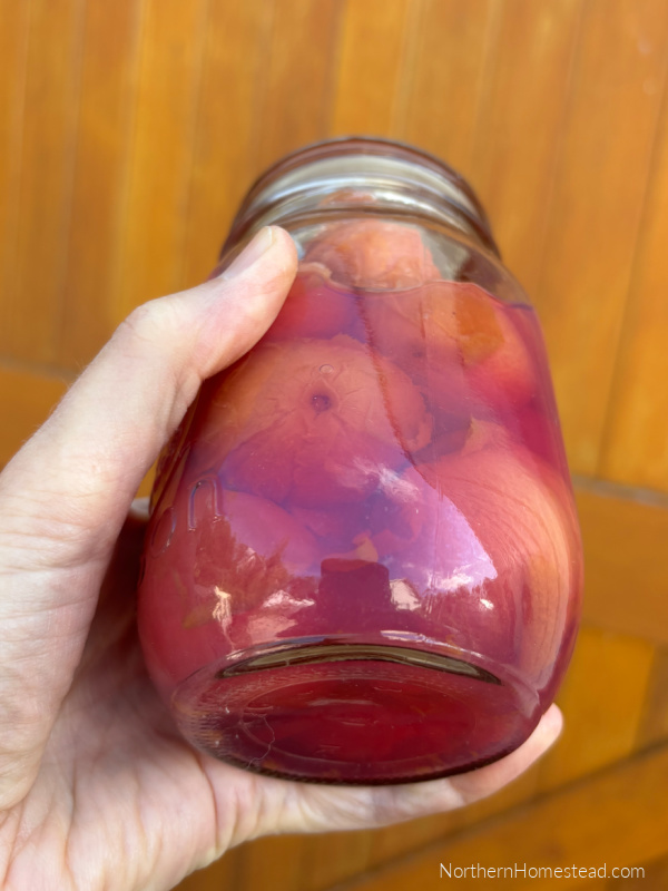 A Guide to Canning Fruit with the Dry Sugar Method