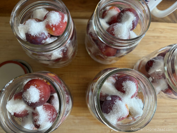 A Guide to Canning Fruit with the Dry Sugar Method
