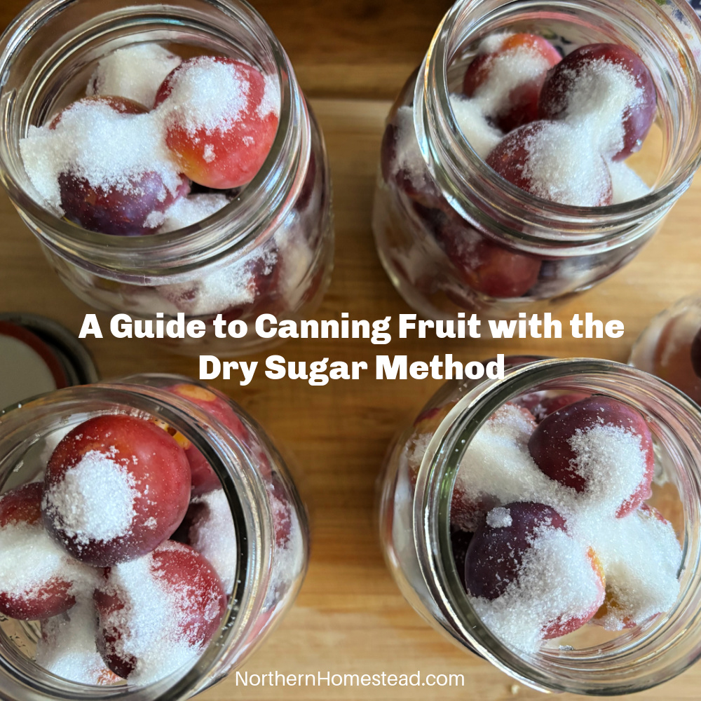 A Guide to Canning Fruit with the Dry Sugar Method