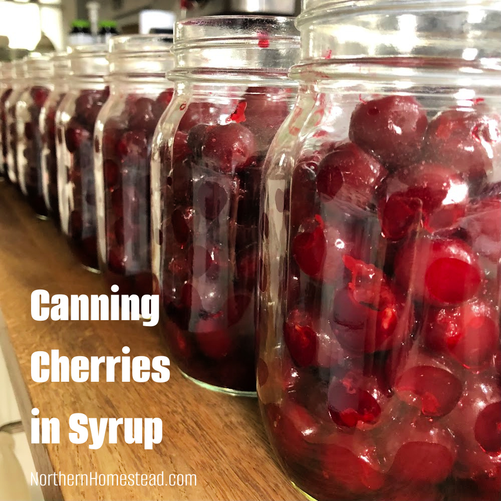 Canning Cherries in Syrup